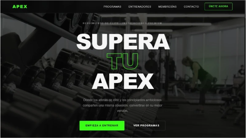 Apex Training Gym